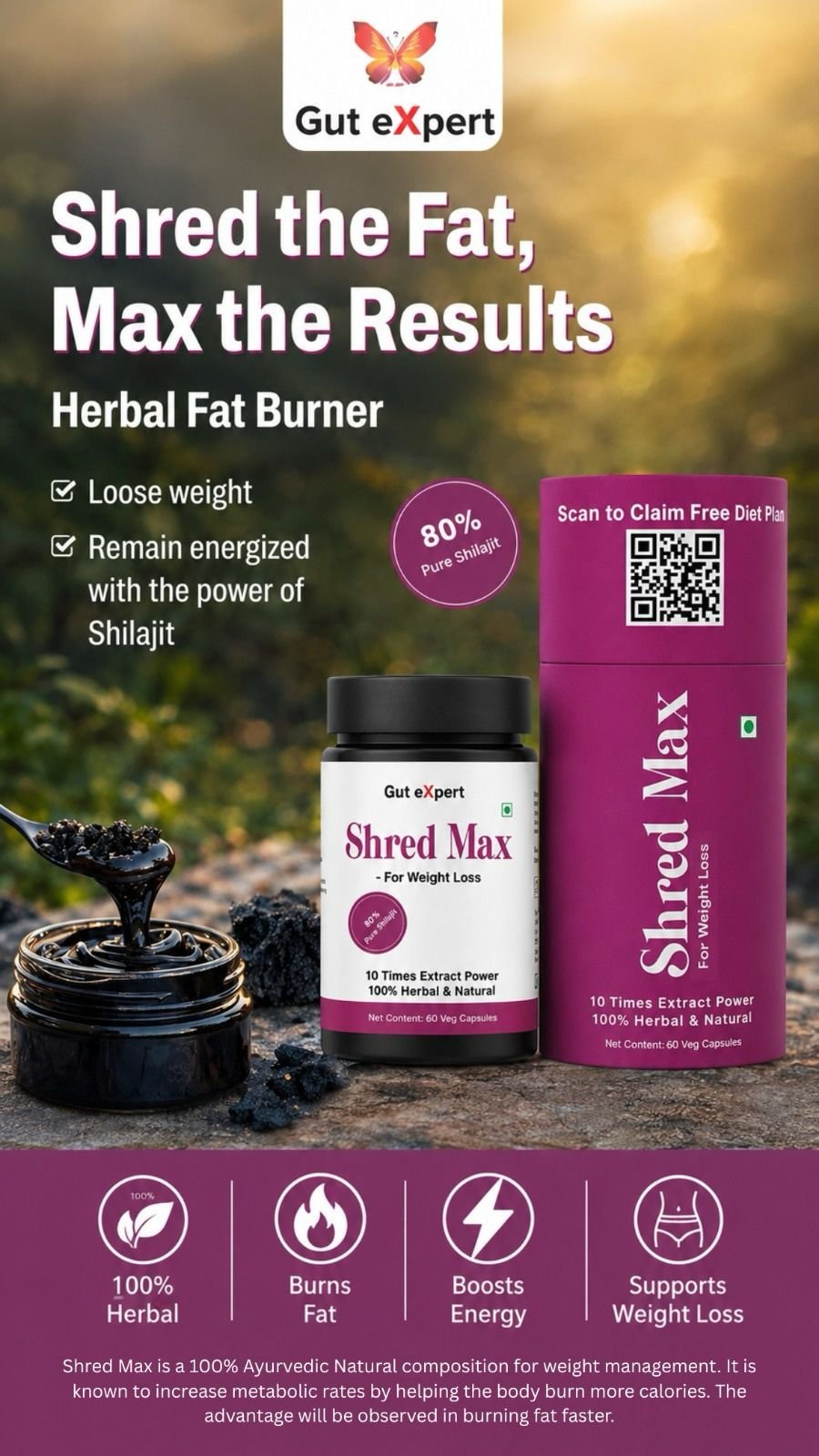 1779178153143 (1) GUT EXPERT - Shred Max - Image 1